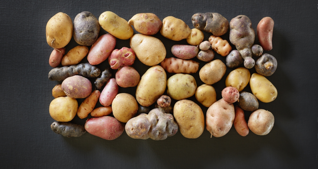 Biohof Las Sorts (nsp_img_cb23405) Biohof Las Sorts (nsp_img_cb23405)