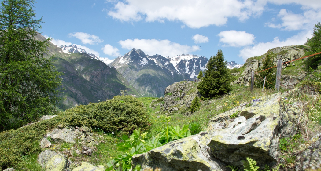 Alp Cluenas Rundtour Alp Cluenas Rundtour