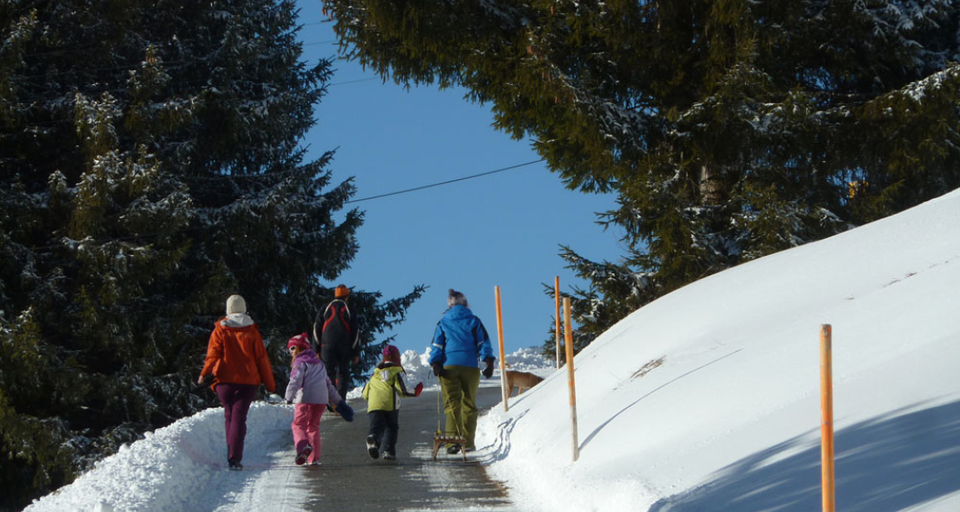 Bis Geisswies geräumte Strasse, dann nur noch Schnee... Bis Geisswies geräumte Strasse, dann nur noch Schnee...