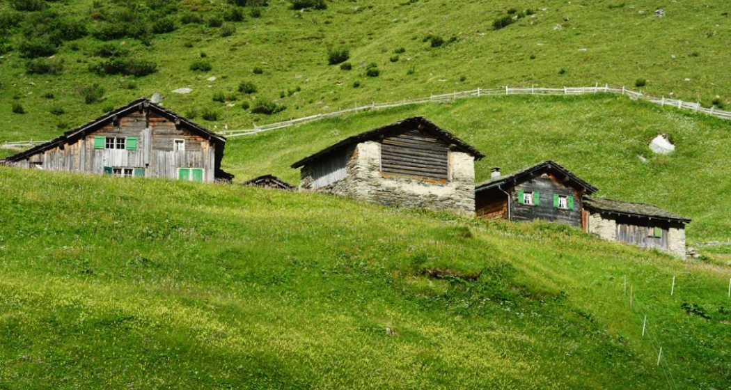 Peil; Foto: Robert Bösch Peil; Foto: Robert Bösch