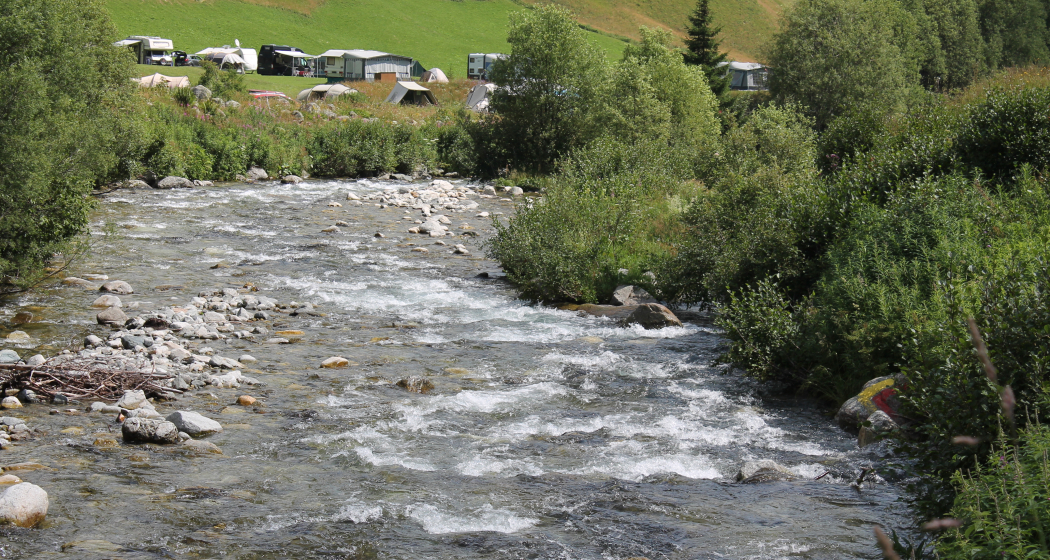 Direkt am Rhein gelegen Direkt am Rhein gelegen