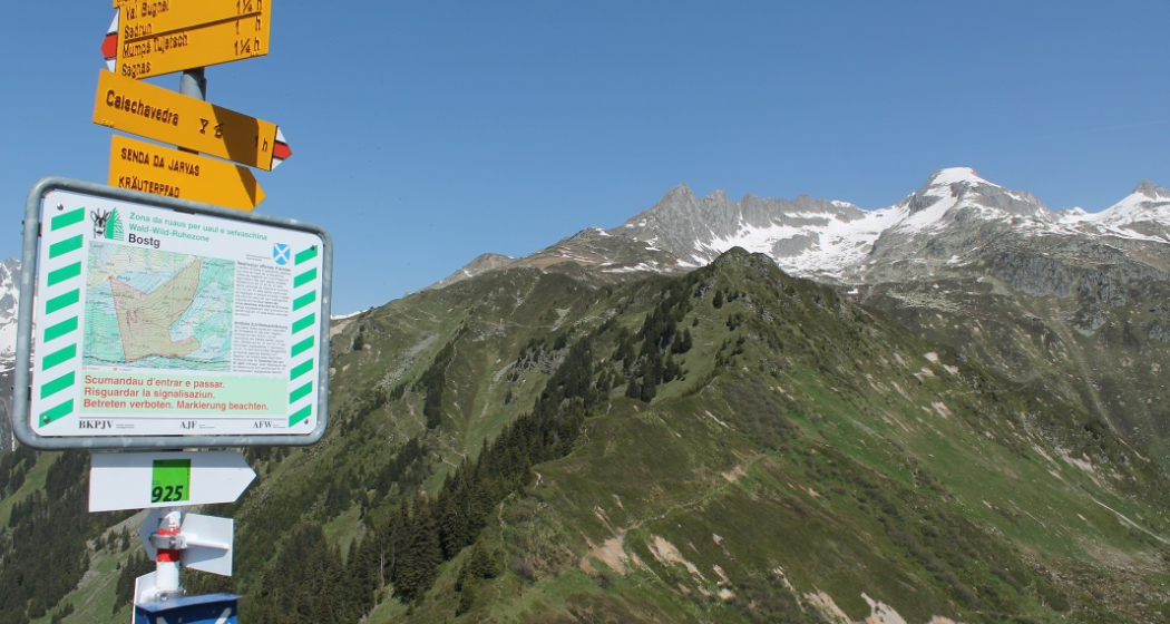 Ausblick nach Norden Ausblick nach Norden