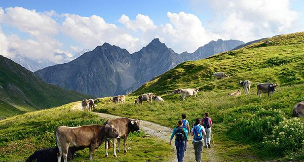 Am Septimerpass mit Blick ins Bergell Am Septimerpass mit Blick ins Bergell