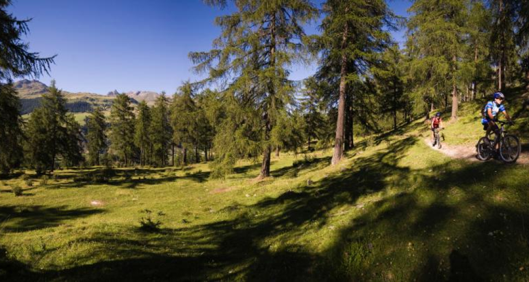 Sent – Tschlin (Rundtour) (oua_17632484_image) Sent – Tschlin (Rundtour) (oua_17632484_image)