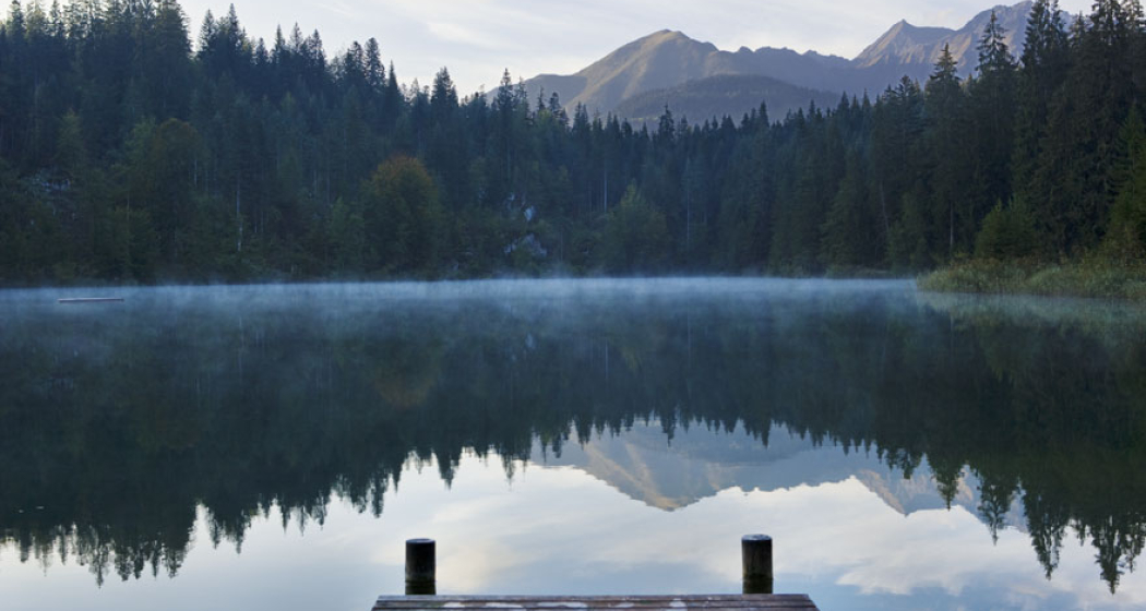 Fidaz - Trin Mulin - Crestasee - Flims (GRF) (oua_1903493_image) Fidaz - Trin Mulin - Crestasee - Flims (GRF) (oua_1903493_image)