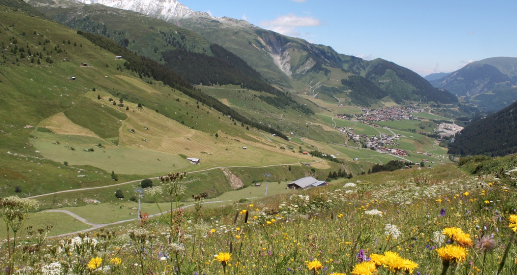 Aussicht von Milez ins Tal Aussicht von Milez ins Tal