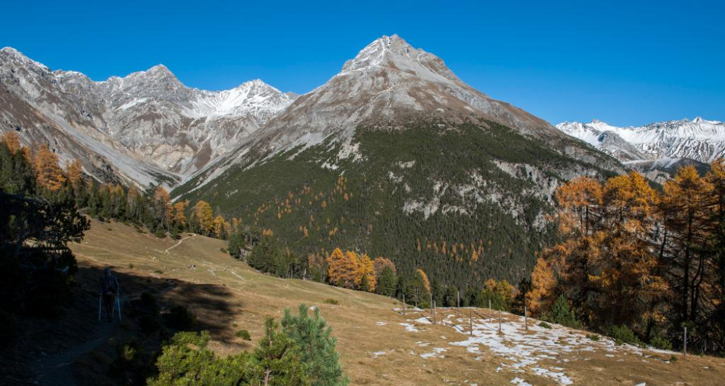 Von der ehemaligen Alp Grimmels aus dominiert linker Hand der Piz dal Fuorn. Von der ehemaligen Alp Grimmels aus dominiert linker Hand der Piz dal Fuorn.
