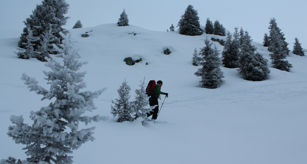 Bei der Alp Crap Ner Sut noch im Nebel Bei der Alp Crap Ner Sut noch im Nebel