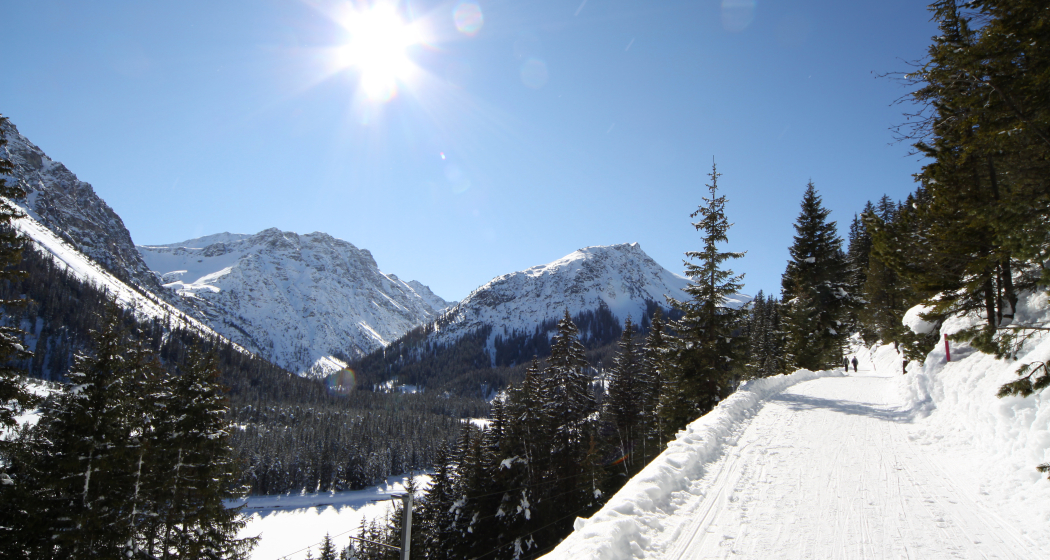 Arosa - Litzirüti Arosa - Litzirüti