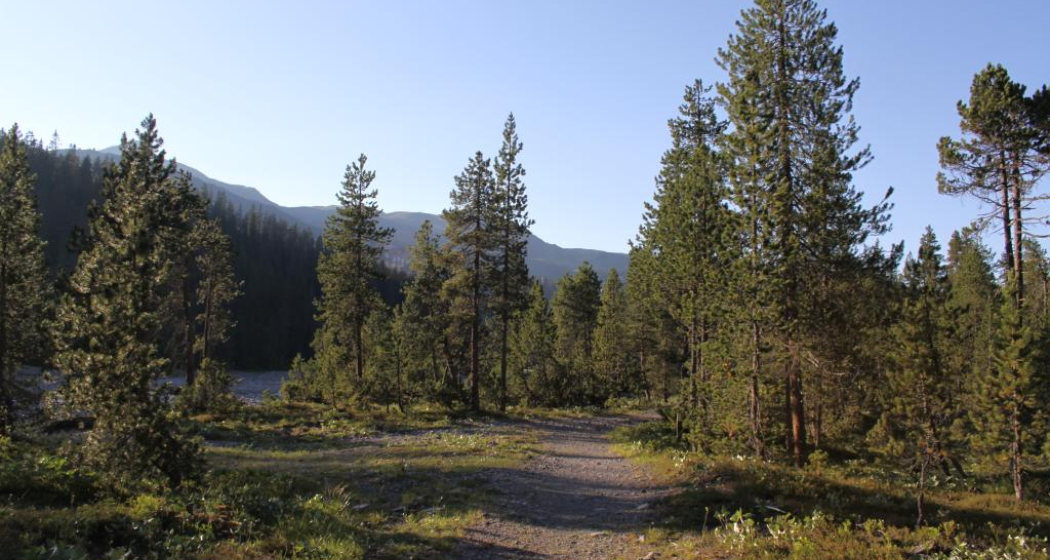 Wanderweg im Iselgebiet Wanderweg im Iselgebiet