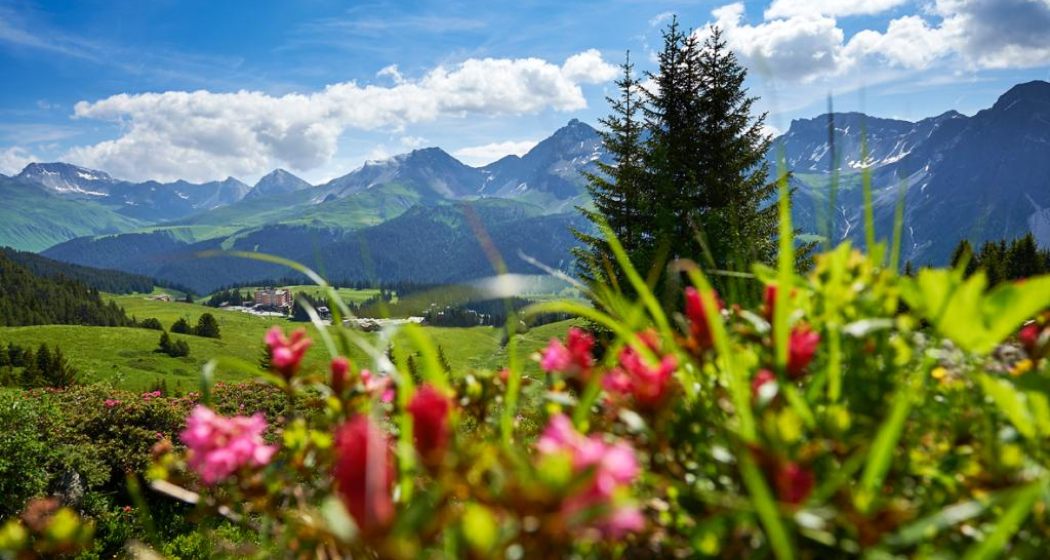 Die Aussicht von der Mittelstation Die Aussicht von der Mittelstation