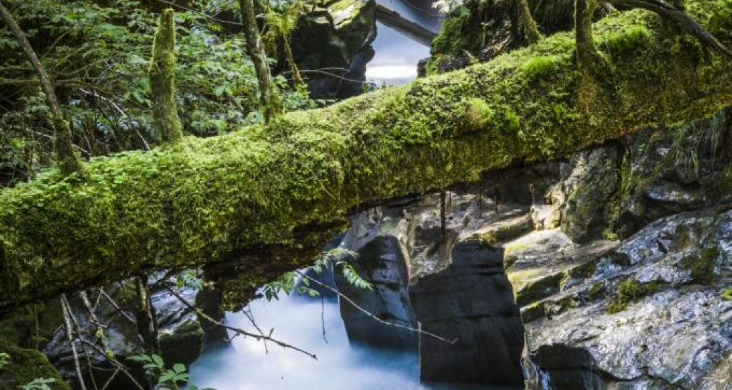 Felsbachschlucht Felsbachschlucht