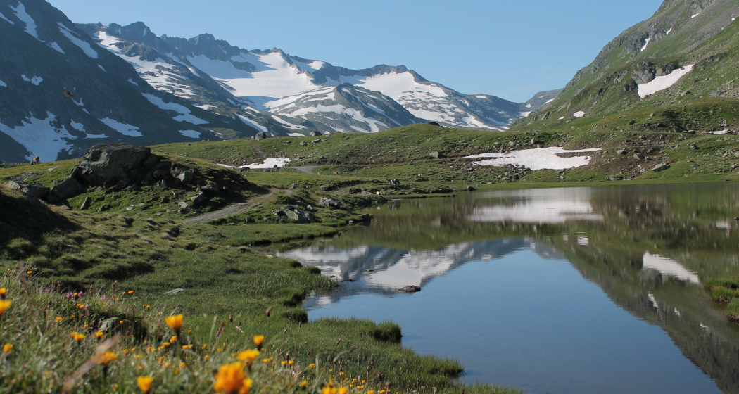 Lai Urlaun gegen Süden mit Piz Borel Lai Urlaun gegen Süden mit Piz Borel
