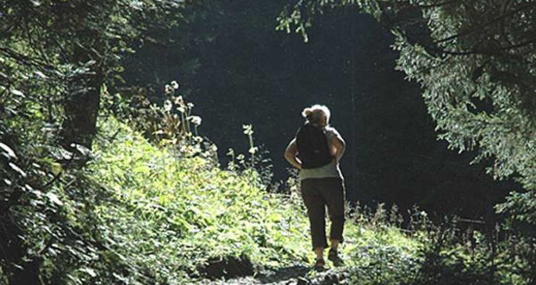 Aus dem Wald in die Lichtung Aus dem Wald in die Lichtung