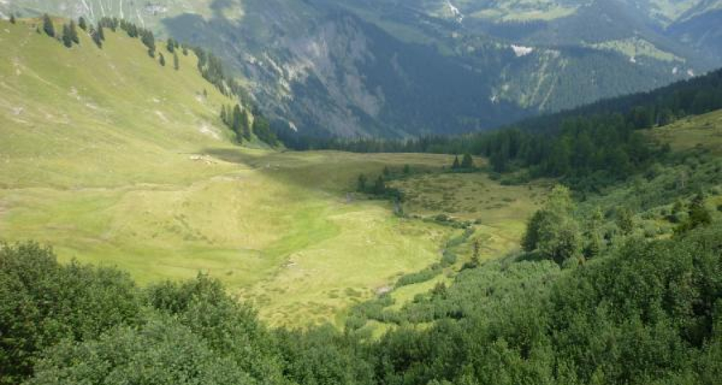 Blick auf das Gebiet Sieben Brünnen Blick auf das Gebiet Sieben Brünnen