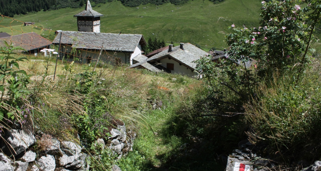 Selva Selva