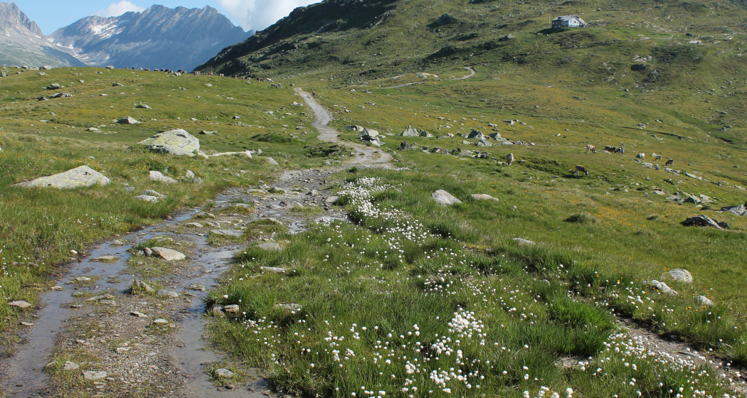 Maighelshütte Maighelshütte