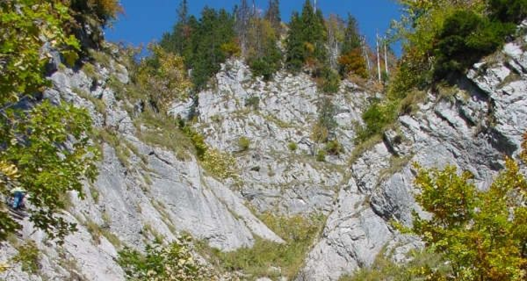 Sitzbachtobel, schöner Schluchtwald Sitzbachtobel, schöner Schluchtwald