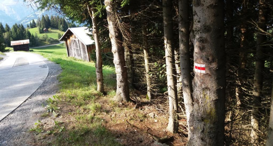 Inslas d’uaul - Waldinseln Inslas d’uaul - Waldinseln