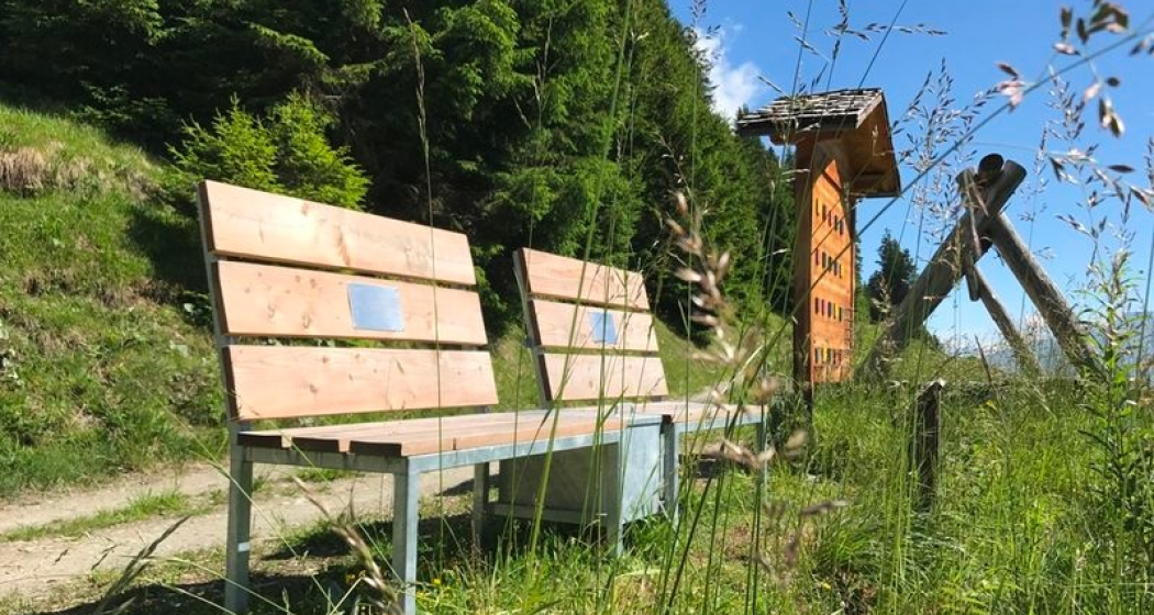 Lesebank "Uaul da Fiugs", Lumbrein (oua_23981726_image) Lesebank "Uaul da Fiugs", Lumbrein (oua_23981726_image)