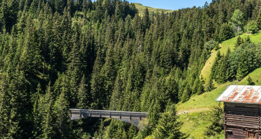 Punt Val Mulin, Lumbrein (oua_23982922_image) Punt Val Mulin, Lumbrein (oua_23982922_image)