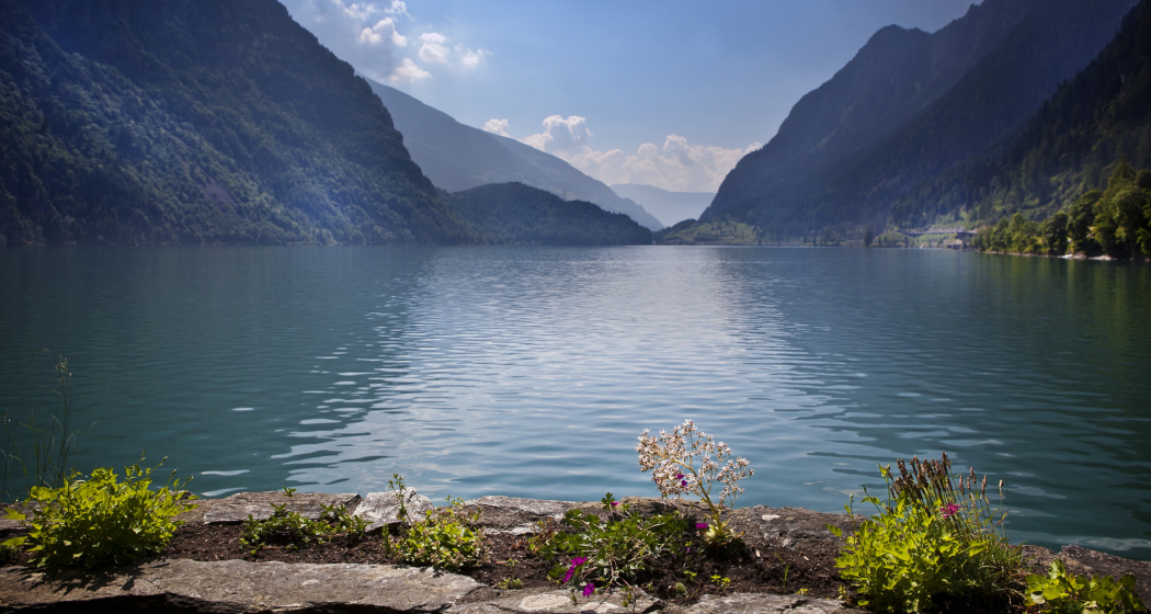 Lago di Poschiavo Lago di Poschiavo