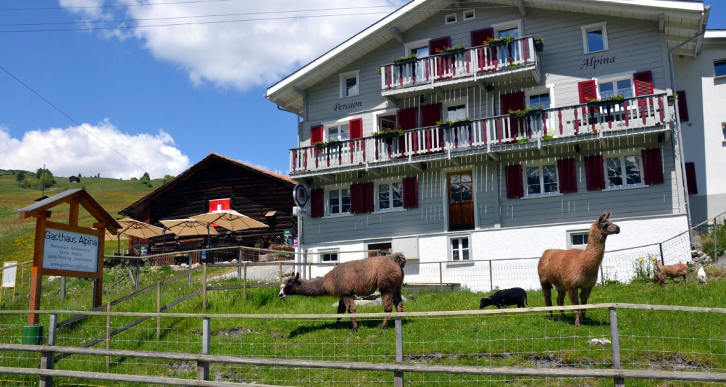 Gasthaus Alpina Sommer Gasthaus Alpina Sommer