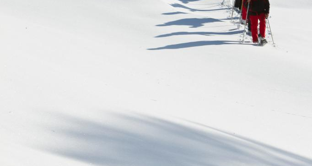 Ramosch – Tulai – Vnà (oua_25393147_image) Ramosch – Tulai – Vnà (oua_25393147_image)