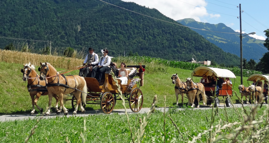 Kutschenfahrten Scalärahof Kutschenfahrten Scalärahof