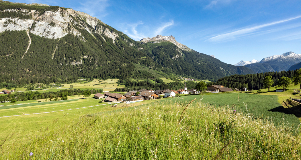 Donat im Sommer Donat im Sommer