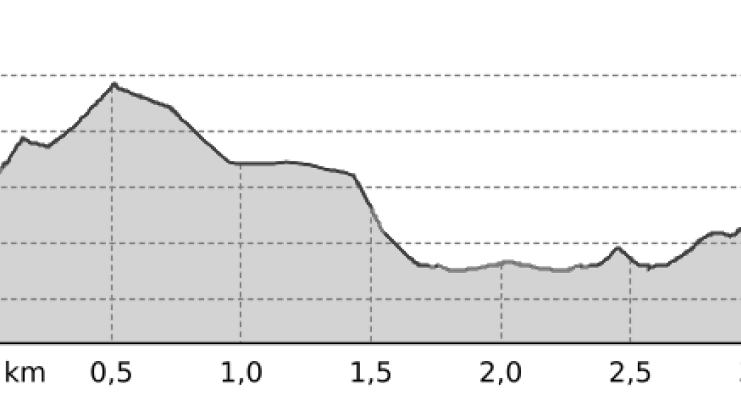Segantini in Savognin (oua_29151513_4f1ad14_profile) Segantini in Savognin (oua_29151513_4f1ad14_profile)