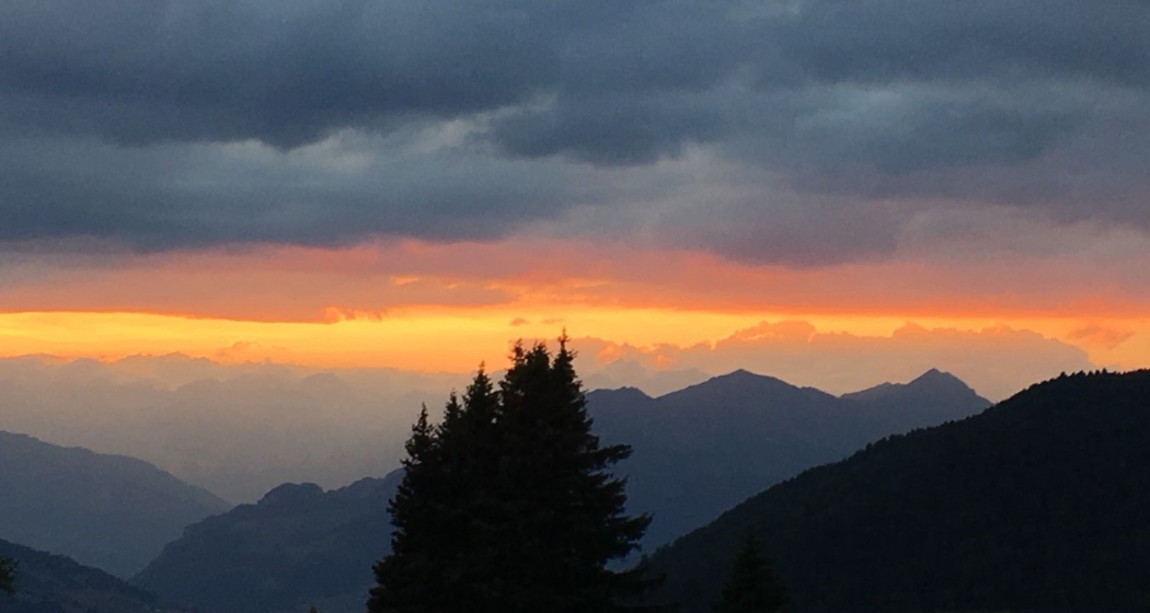 Plang Begls (oua_30576707_image) Plang Begls (oua_30576707_image)