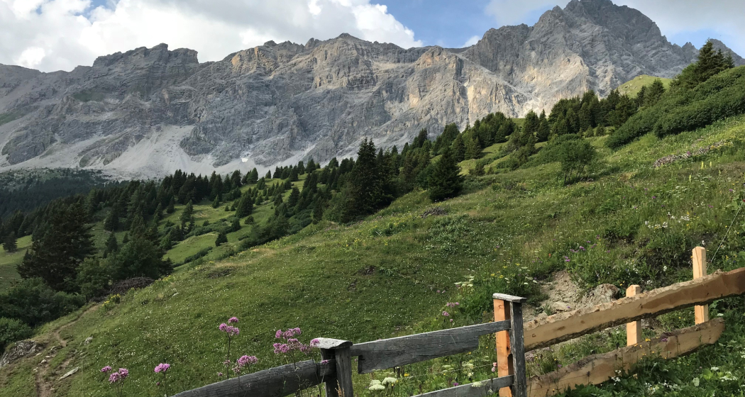 Plang Begls (oua_30581709_image) Plang Begls (oua_30581709_image)