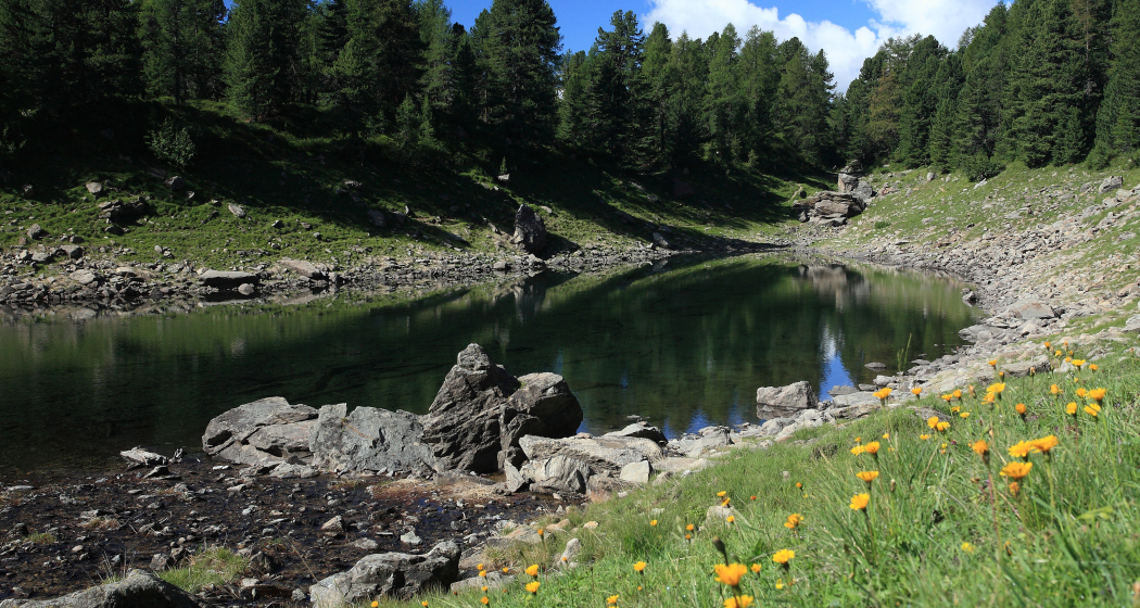 Lagh da Val Viola Lagh da Val Viola