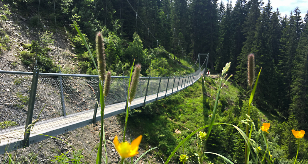 Imposant schwingt sich die Brücke 70 Meter weit über das Tobel. Imposant schwingt sich die Brücke 70 Meter weit über das Tobel.