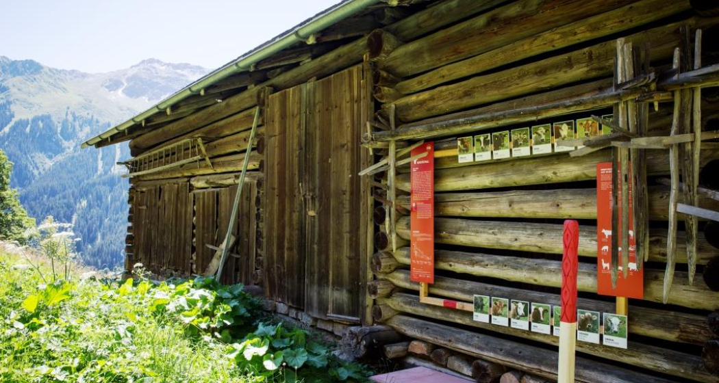 Bodästall Bodästall