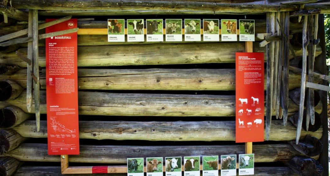 Bodästall "Kuh und Wiese" (oua_34053475_image) Bodästall "Kuh und Wiese" (oua_34053475_image)