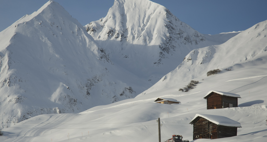 Tenner Chrüz ©Safiental Tourismus AG Tenner Chrüz ©Safiental Tourismus AG