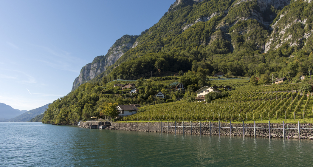 Auf dem Weg nach Quinten Auf dem Weg nach Quinten