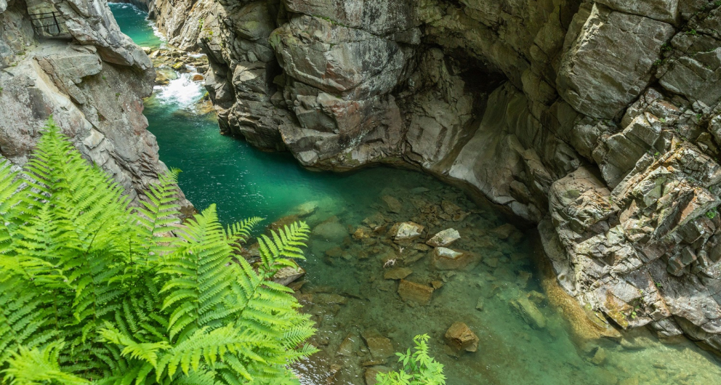 Rofflaschlucht Rofflaschlucht