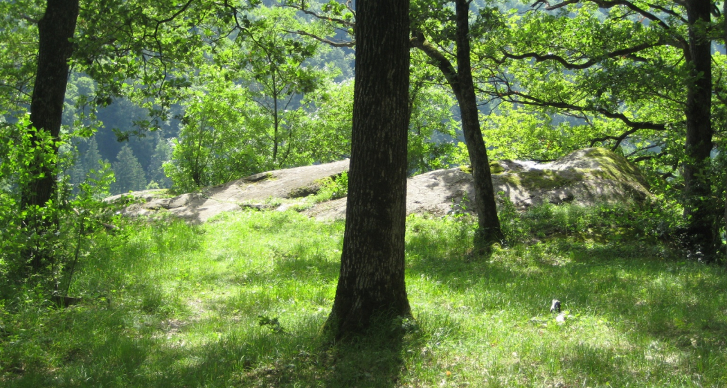 Mystischer Tiergartenhügel mit Steinheiligtum Mystischer Tiergartenhügel mit Steinheiligtum