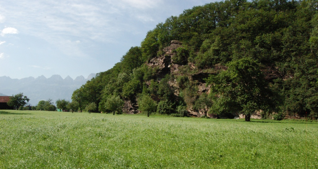 Blick von der Ebene auf den Hügelberg Blick von der Ebene auf den Hügelberg