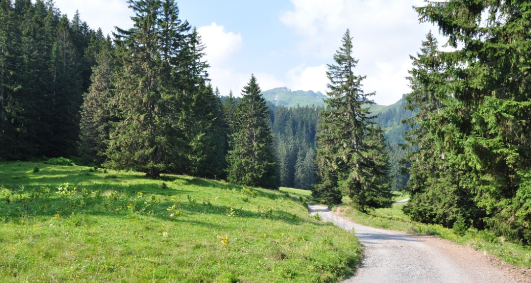 Der Weg ist das Ziel Der Weg ist das Ziel
