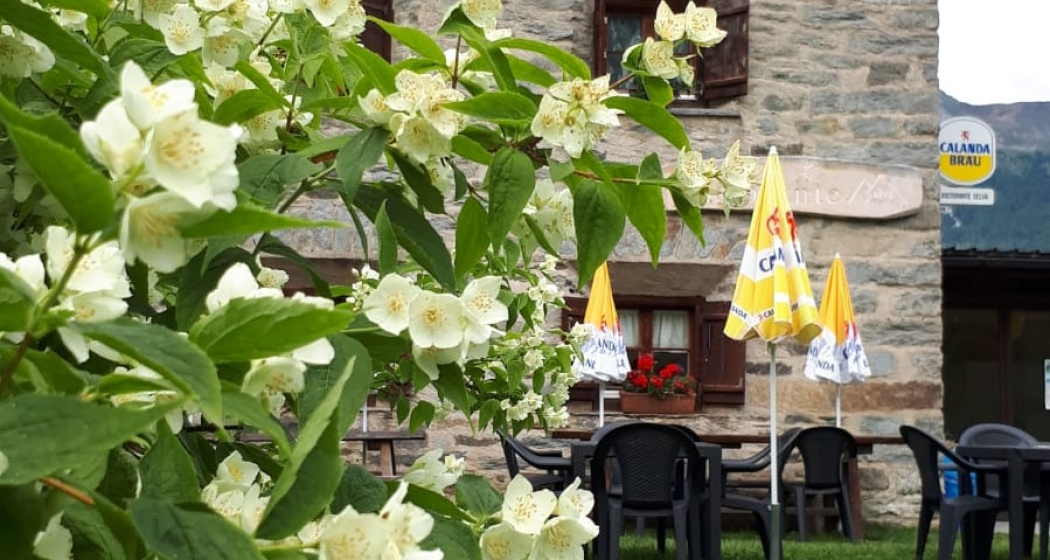 Ristorante Selva Ristorante Selva