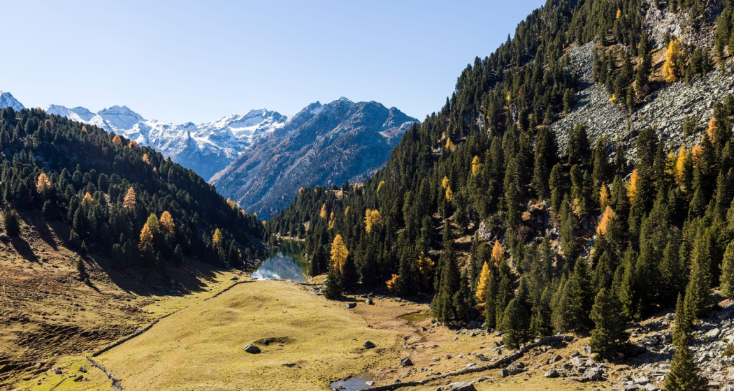 Herbststimmung beim Lai Lung Herbststimmung beim Lai Lung