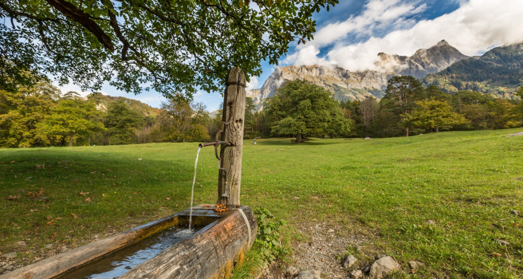 12. Nationaler Wandertag: Wanderung 2 - Weinwanderung Bündner Herrschaft 12. Nationaler Wandertag: Wanderung 2 - Weinwanderung Bündner Herrschaft
