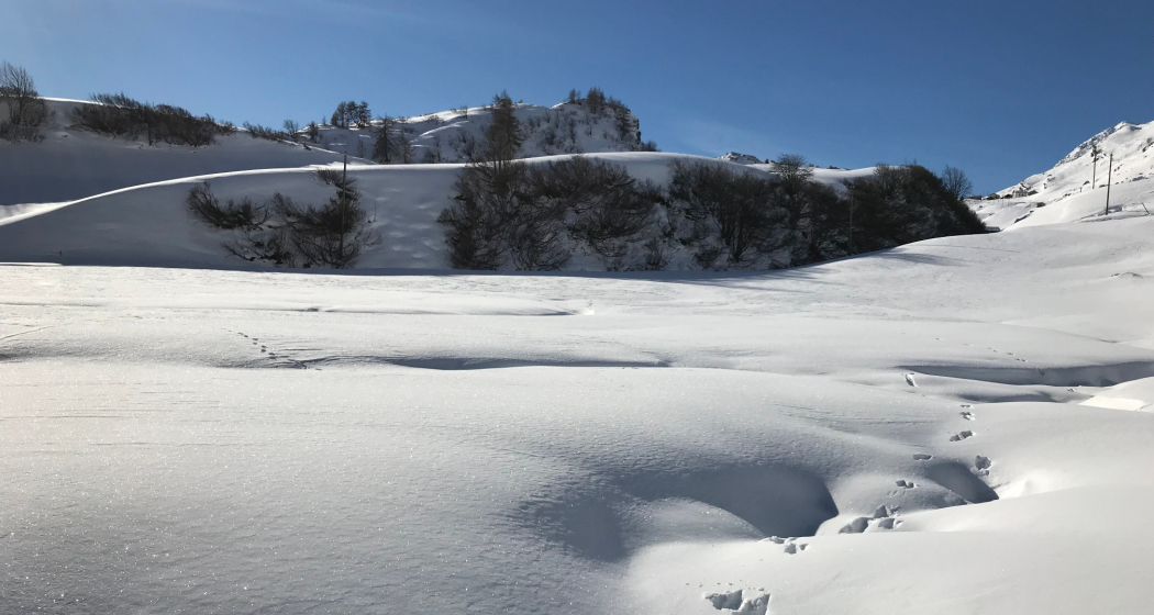 Schneeschuh laufen in sanftem Terrain Schneeschuh laufen in sanftem Terrain
