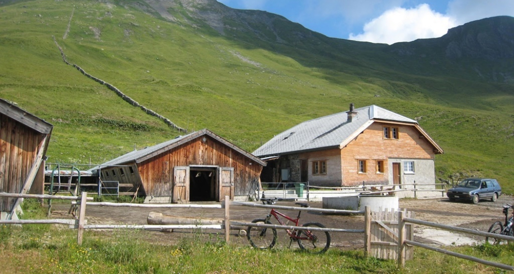 Alp Lasa Alp Lasa