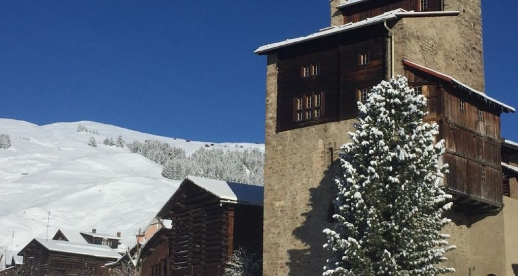 Chisti Lumerins, Winter Chisti Lumerins, Winter