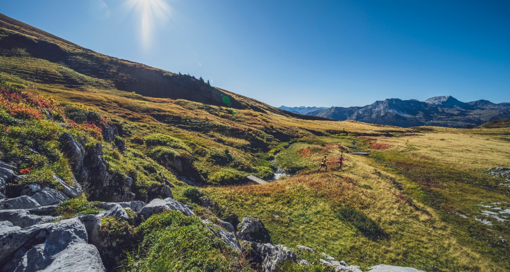 _DSC2257-Bearbeitet _DSC2257-Bearbeitet